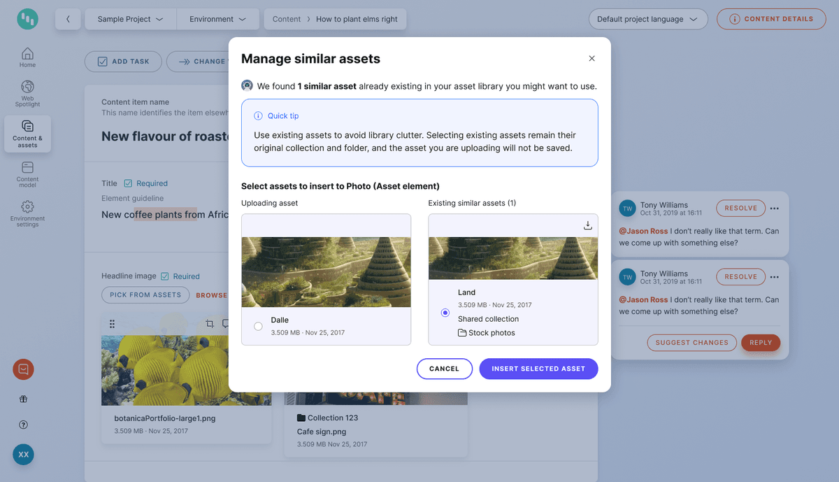 Asset Suggestions & Duplicate Detection