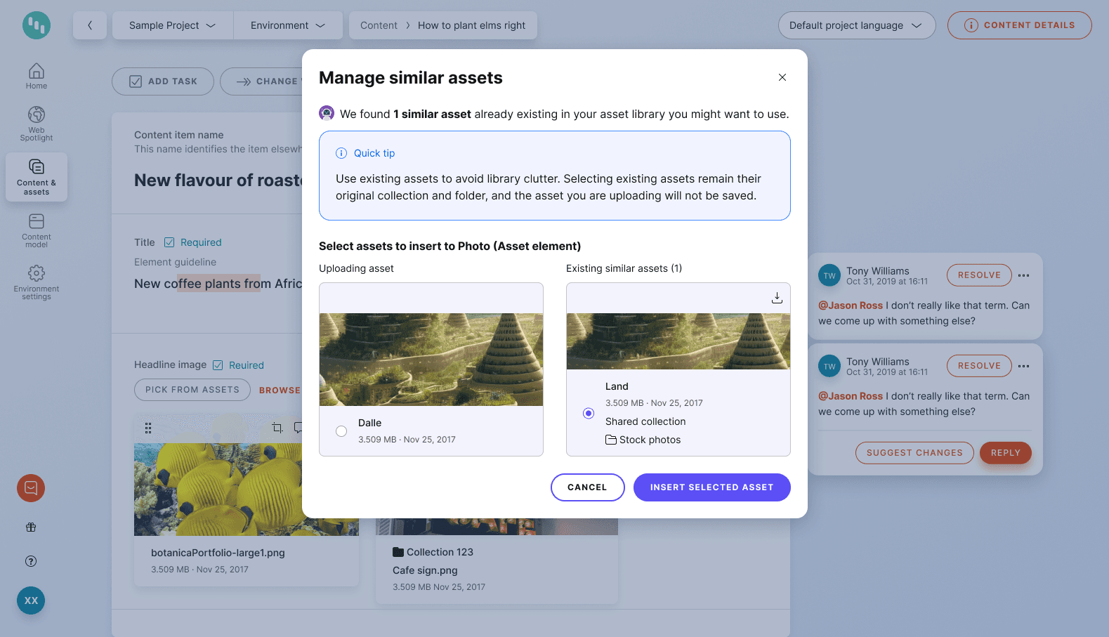 Asset Suggestions & Duplicate Detection
