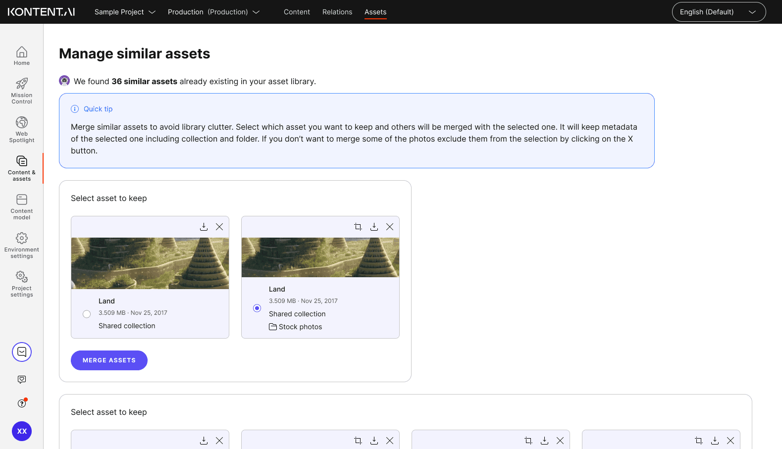 Asset Library Duplicates