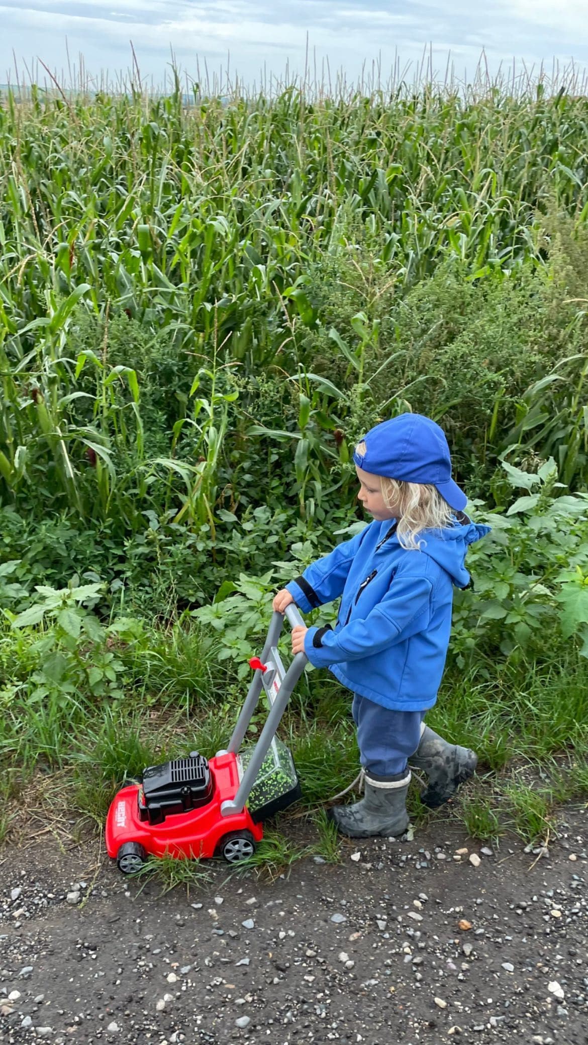 Learning Through Doing