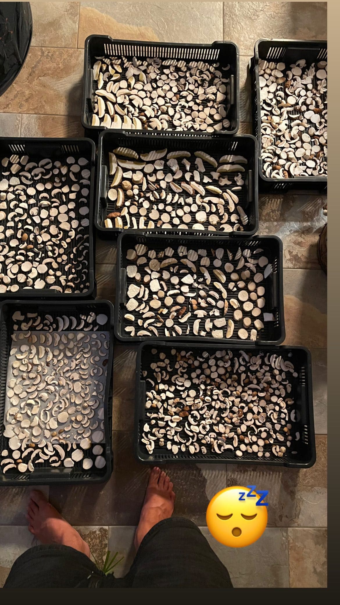 Building a Preservation System