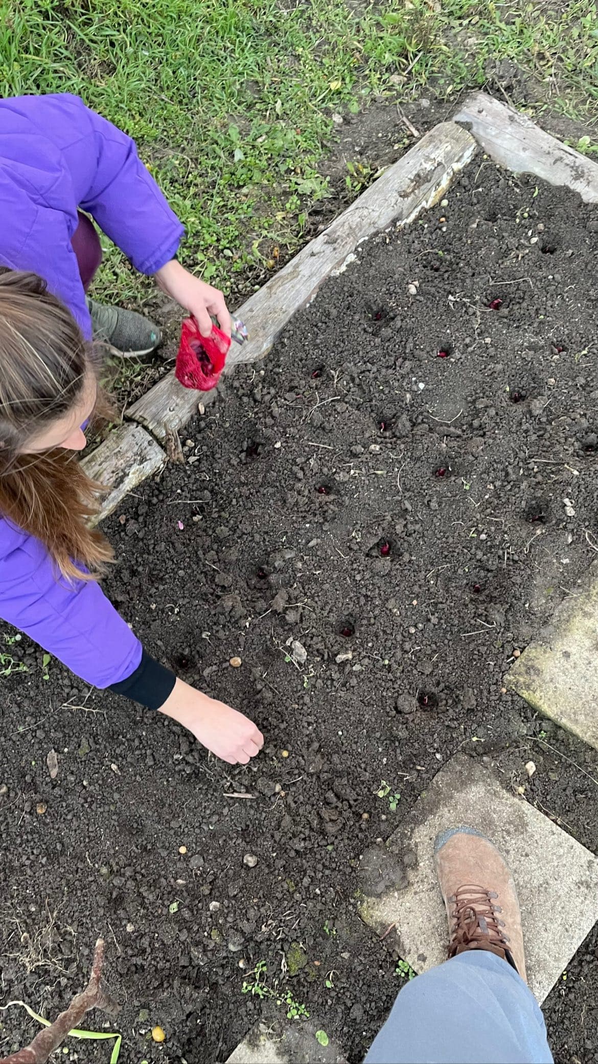 Garden Bed Construction