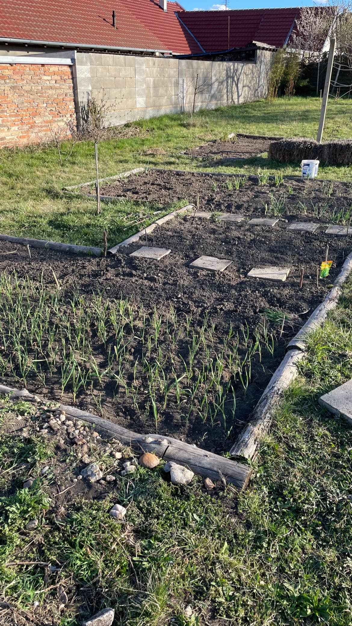Garden Bed Construction