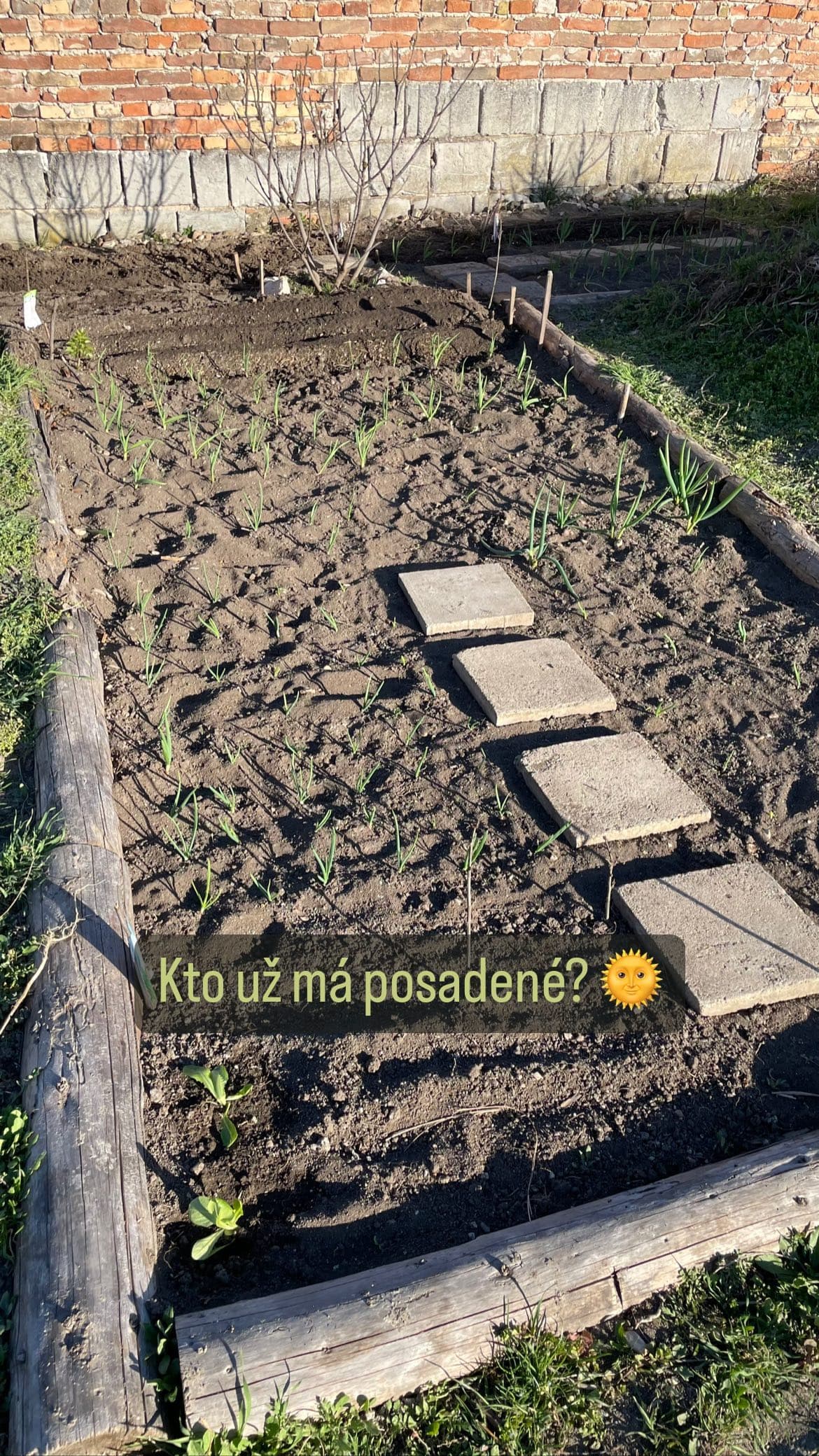 Garden Bed Construction