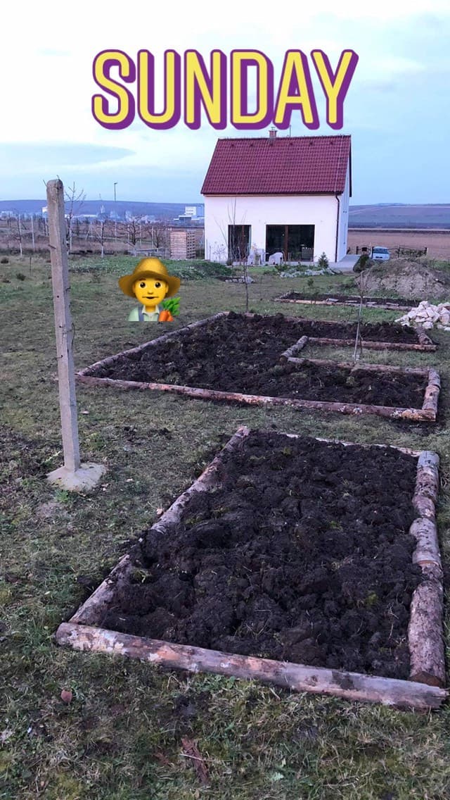 Garden Bed Construction