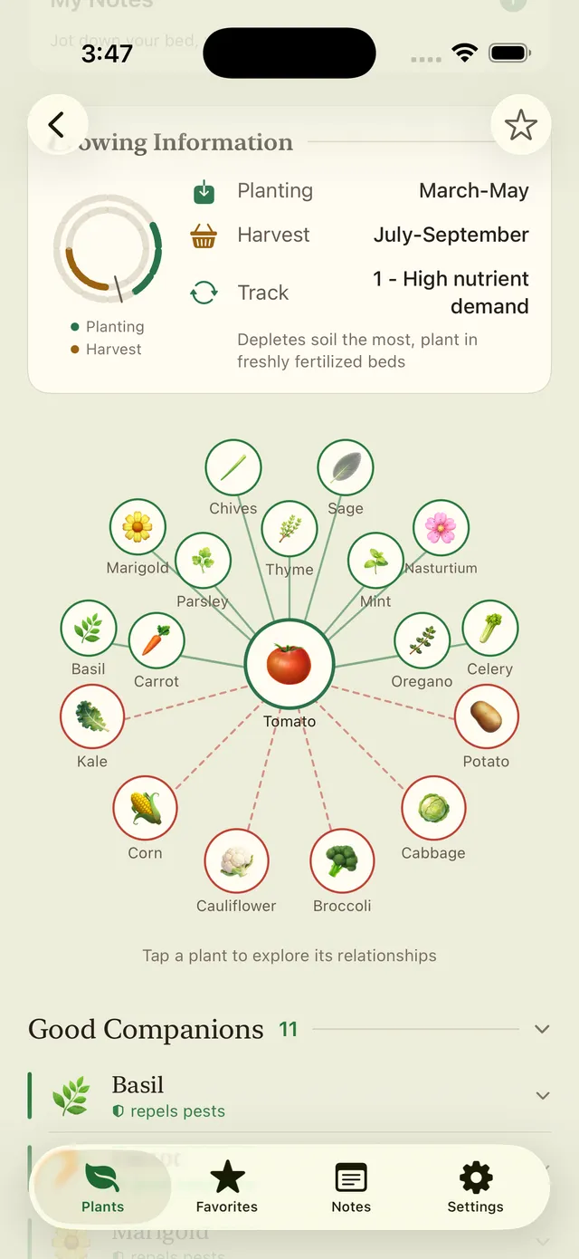 Plant detail with companions