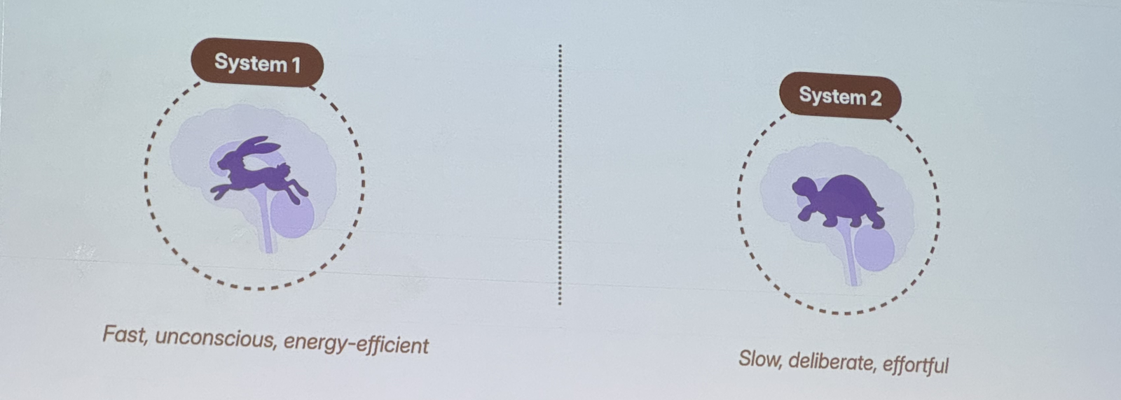 System 1 and System 2